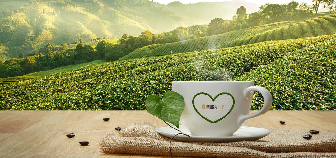 Distributori automatici Ticino