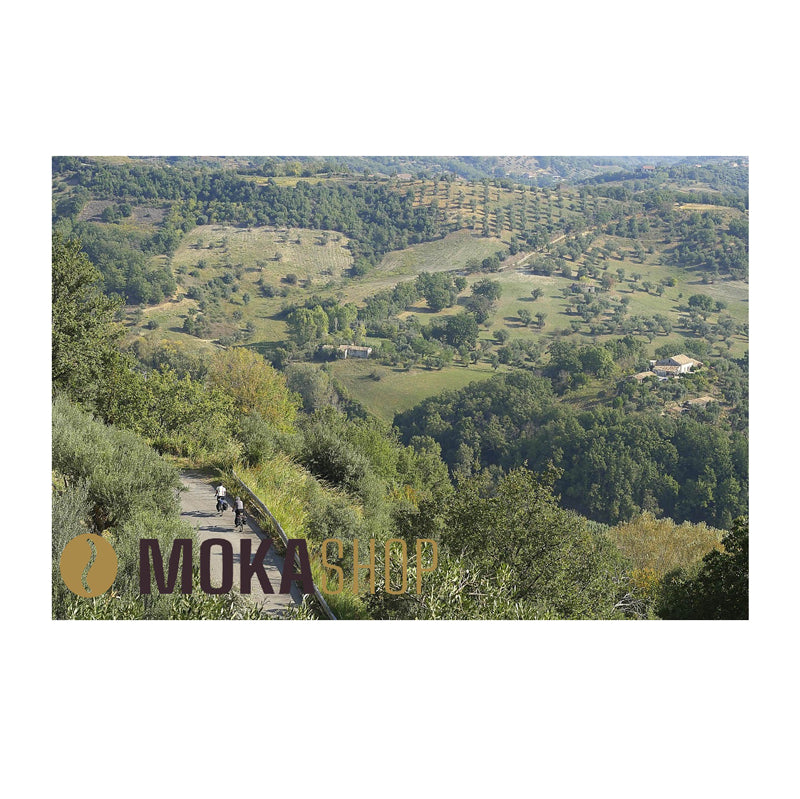 Acquista specialità Calabresi Zurigo Zürich Svizzera