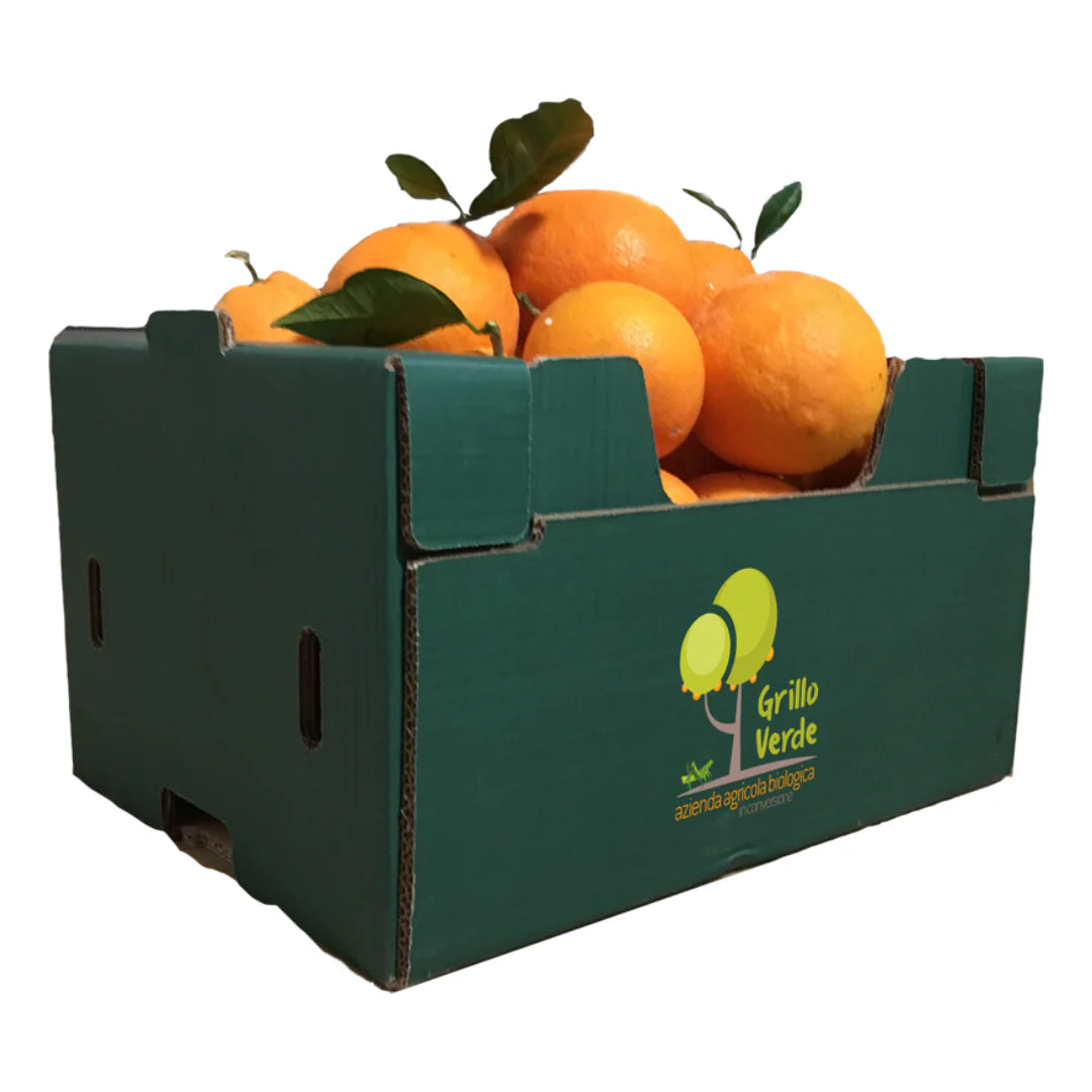 Frische Bio Orangen zertifiziert Tarocco bestellen Kalabri