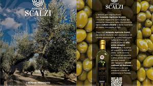 Olivenöl Bio kaufen Scalzi agricola Italien Kalabrien