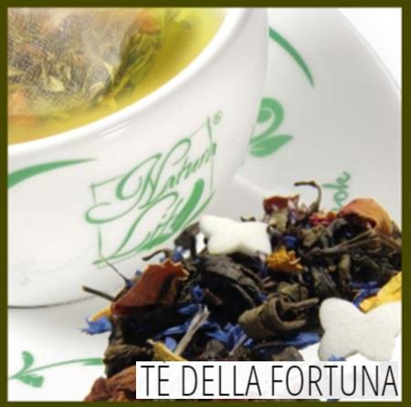 Thé vert Natura Life Fortune Tea 27 filtres
