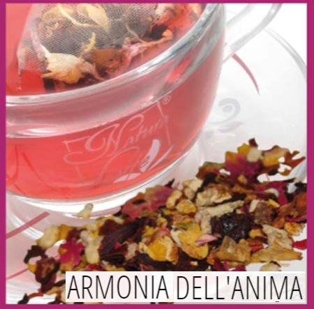 Harmony of the Soul Natura Life Infused Tea 27 filtres