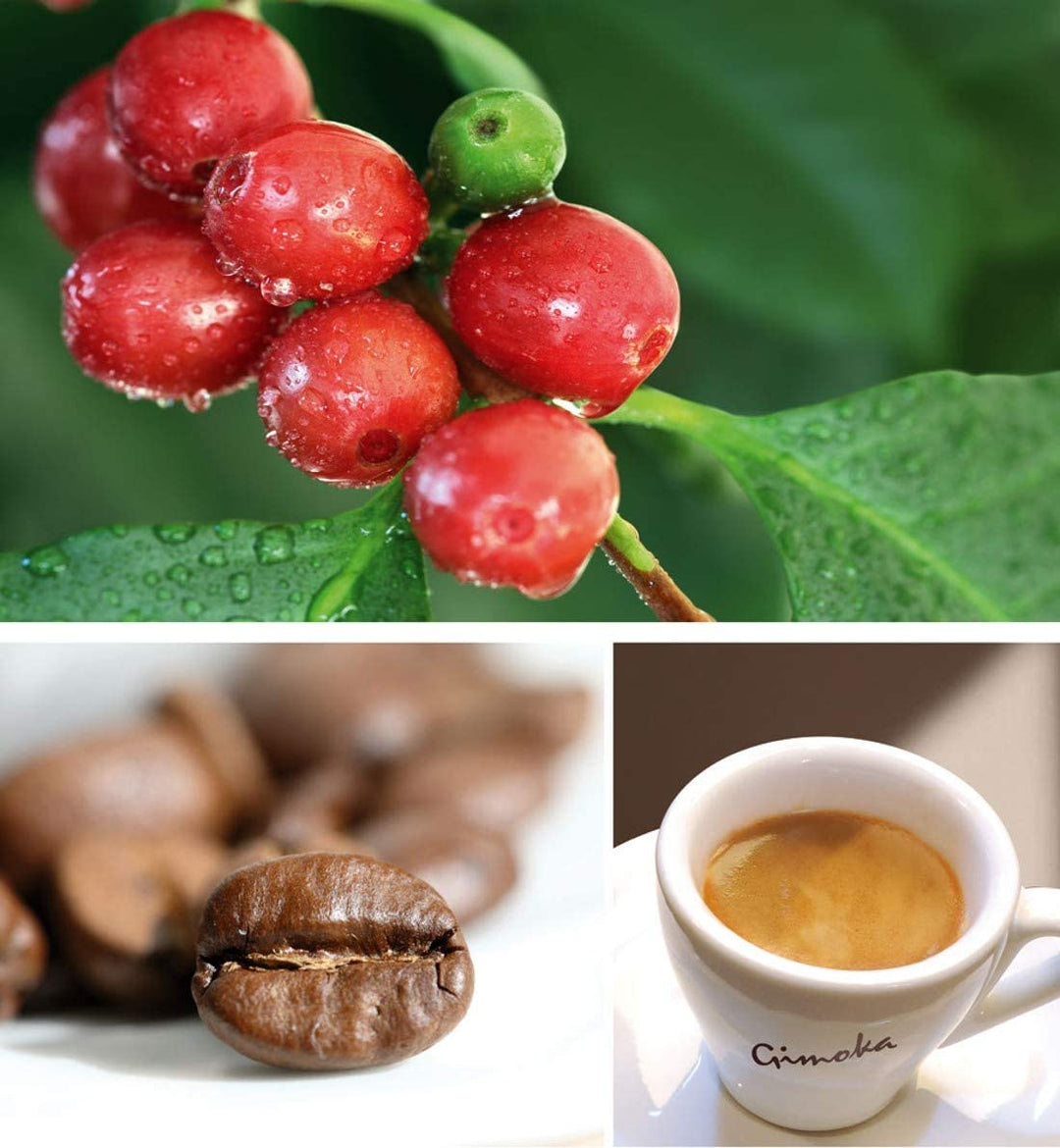Café compatible Nespresso* Professionnel Lungo Intense 50 capsules –  Mokashop Europe